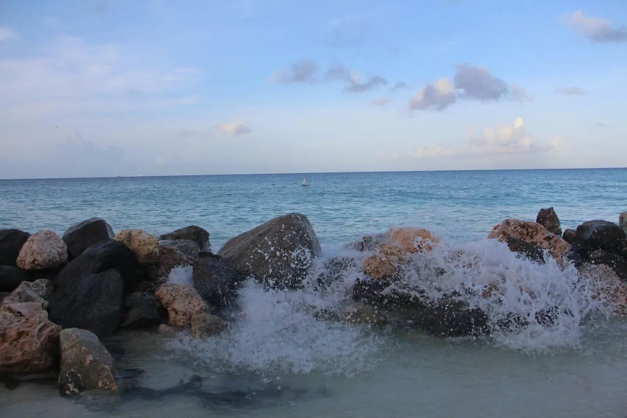 Aruba Beach Club Resort Palm Beach 0*,