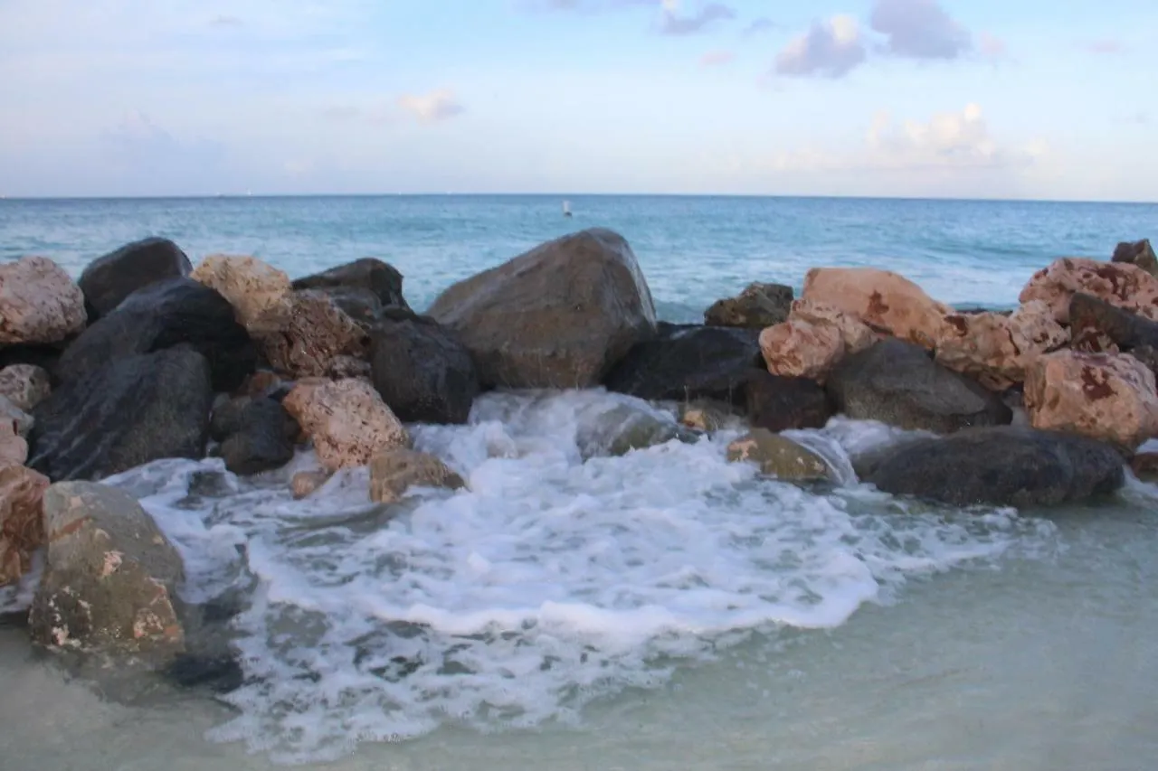 Aruba Beach Club Resort Palm Beach