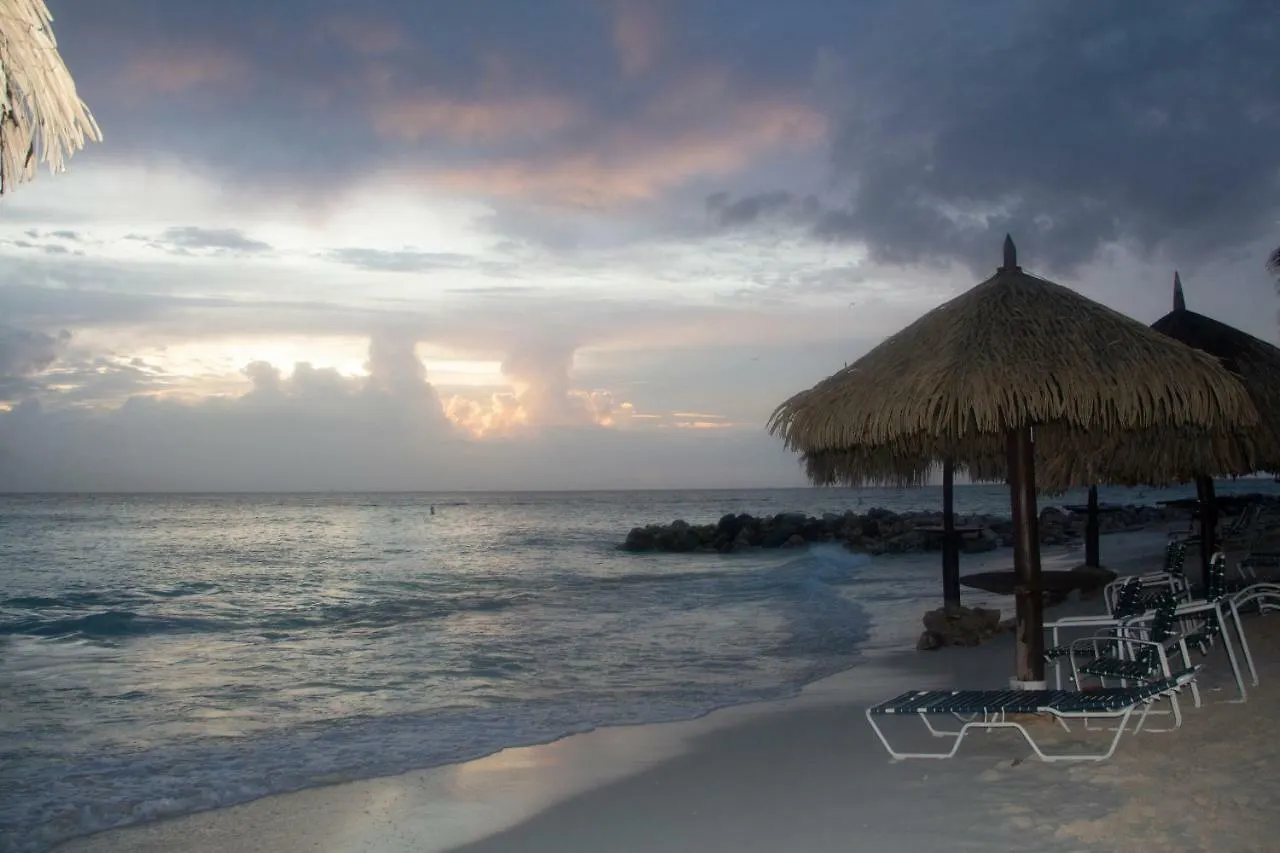 Aruba Beach Club Resort Palm Beach