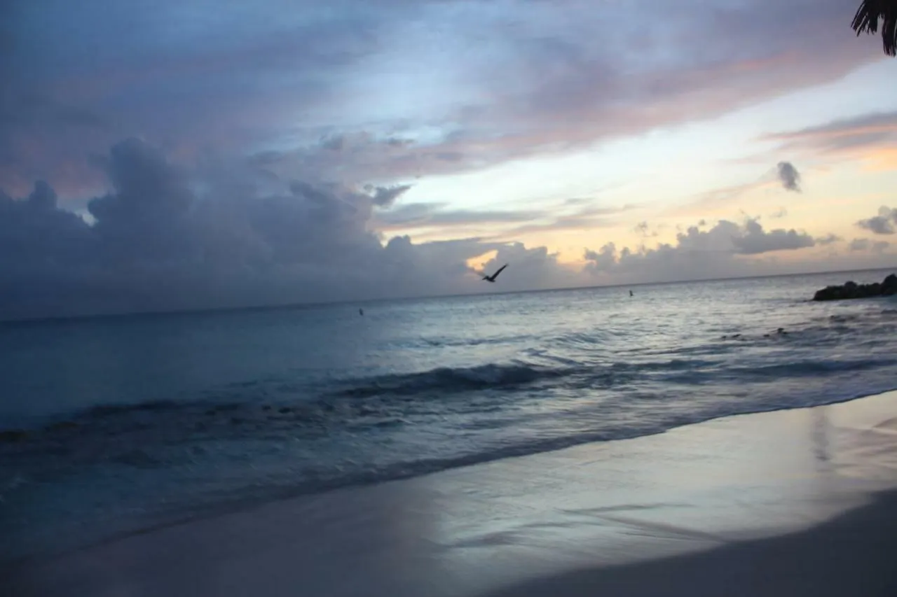 Aruba Beach Club Resort Palm Beach 0*,  Aruba