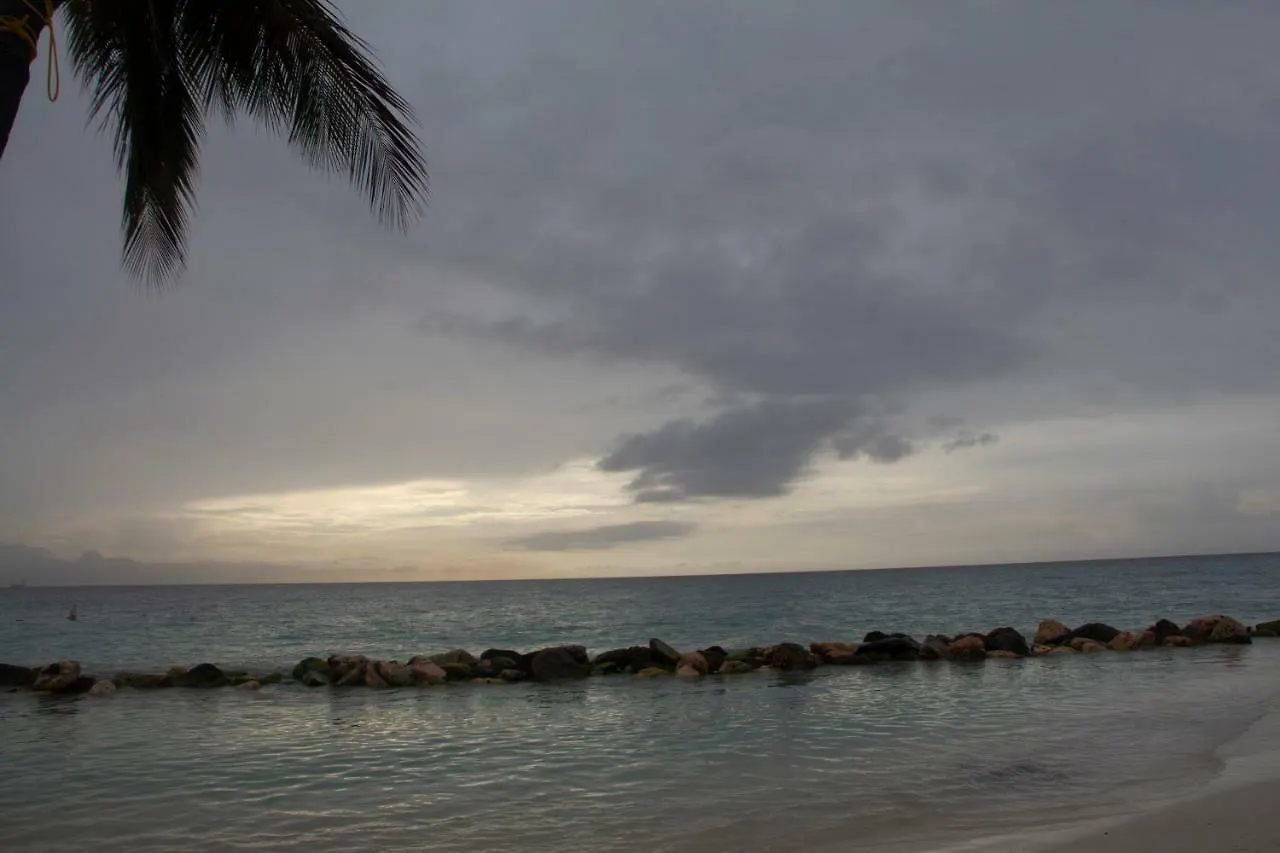 Hotel Aruba Beach Club Resort Palm Beach Aruba
