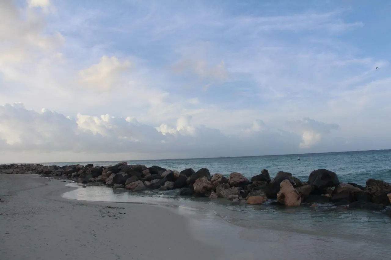 Aruba Beach Club Resort Palm Beach Hotel