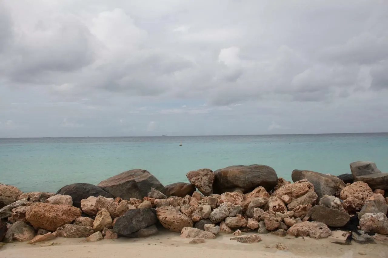 Aruba Beach Club Resort Palm Beach Hotel