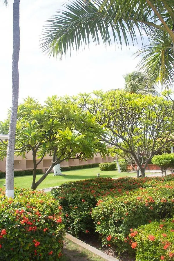 Aruba Beach Club Resort Palm Beach
