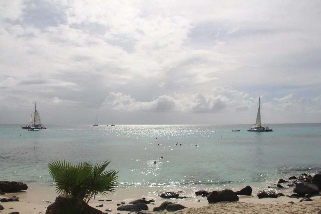 Aruba Beach Club Resort Palm Beach 0*,  Aruba